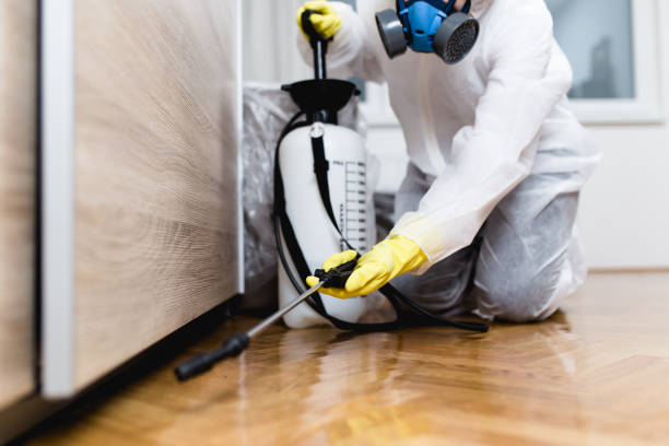 Best Pest Control Near Me in Perris, CA