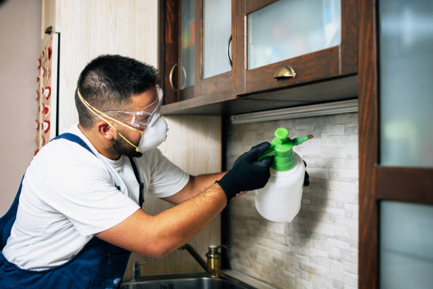 Best Flea Control Services  in Perris, CA