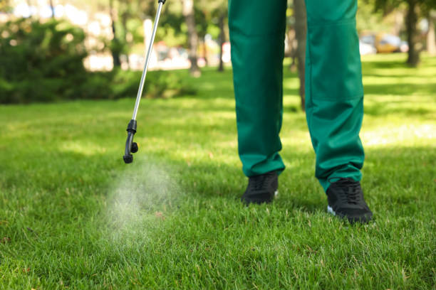 Best Insect Control  in Perris, CA