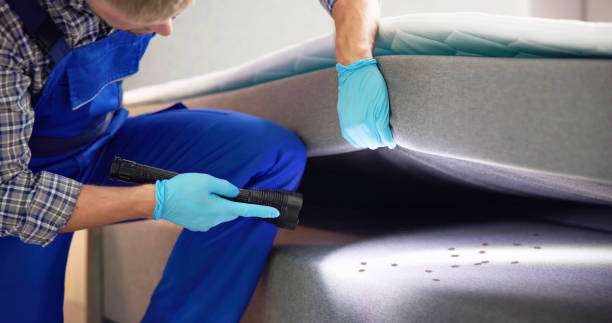 Best Local Pest Control Services  in Perris, CA