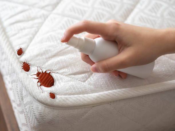 Best Pest Inspection Near Me  in Perris, CA