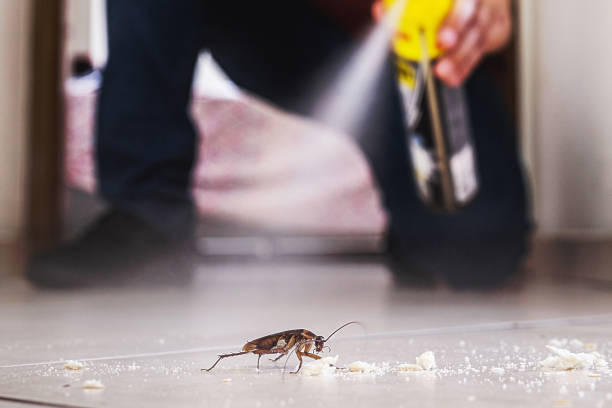 Best Exterminator Services  in Perris, CA