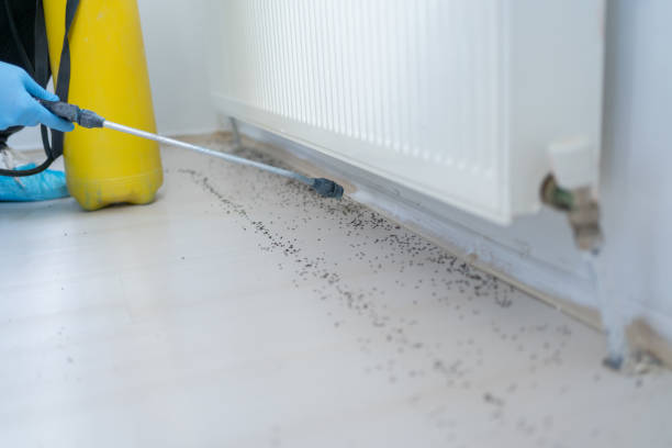Best Best Pest Control Companies  in Perris, CA