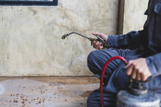 Best Pest Control for Restaurants  in Perris, CA